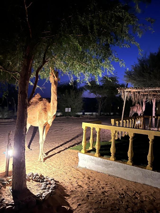 Golden Palm Oasis Hotel Fulayj al Masha'ikh Exterior foto